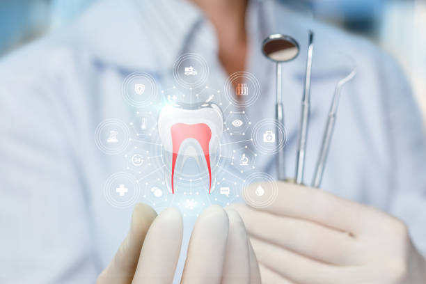 Queensland, MD  Holistic Dental Services Company